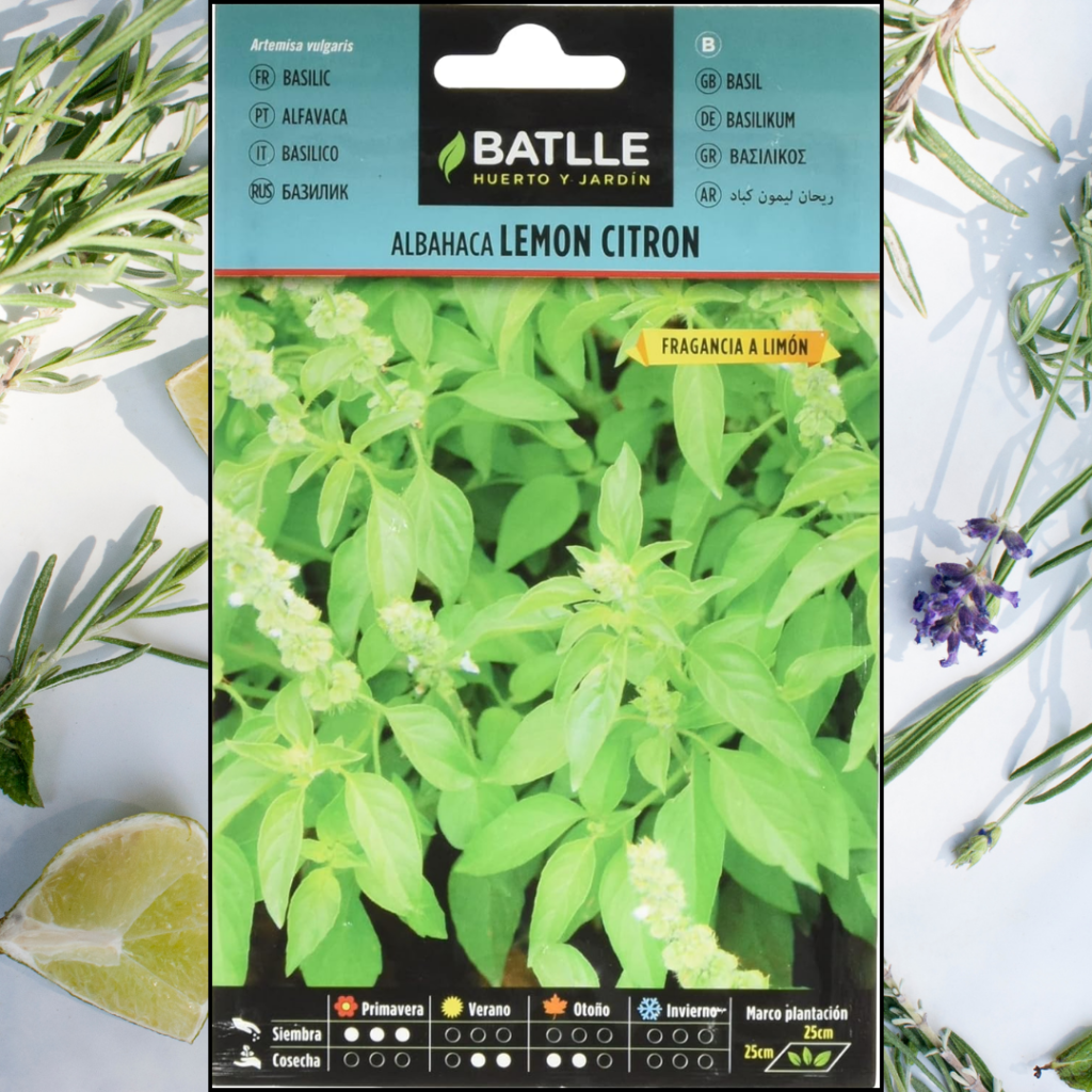 Semillas Batlle Albahaca Lemon Citron