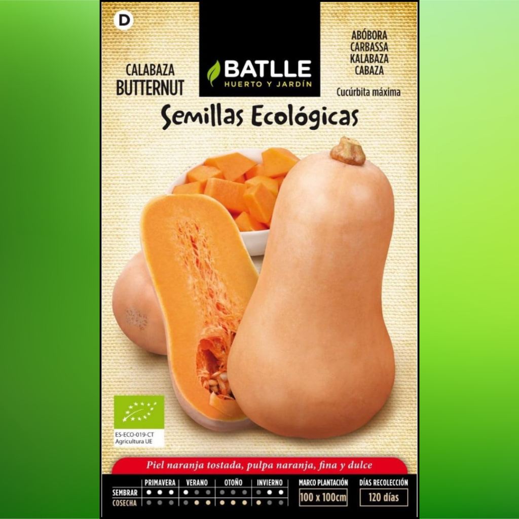 Semillas Batlle Calabaza Butternut - ECO